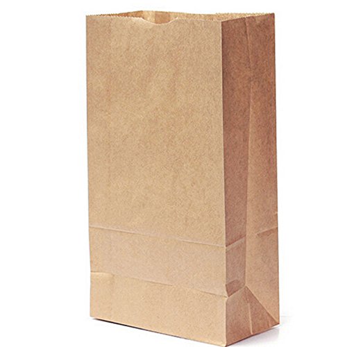 20 x Brown Kraft Block Bottom Paper Bags - Pack of 20 Heavy Duty Eco Friendly Pack Lunch Bag - for Party, Deli, Gift Bags, 7 Sizes (6x2.5x12" 3.5lb) Sabco 6x2.5x12" 3.5lb