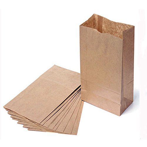 20 x Brown Kraft Block Bottom Paper Bags - Pack of 20 Heavy Duty Eco Friendly Pack Lunch Bag - for Party, Deli, Gift Bags, 7 Sizes (6x2.5x12" 3.5lb) Sabco 6x2.5x12" 3.5lb