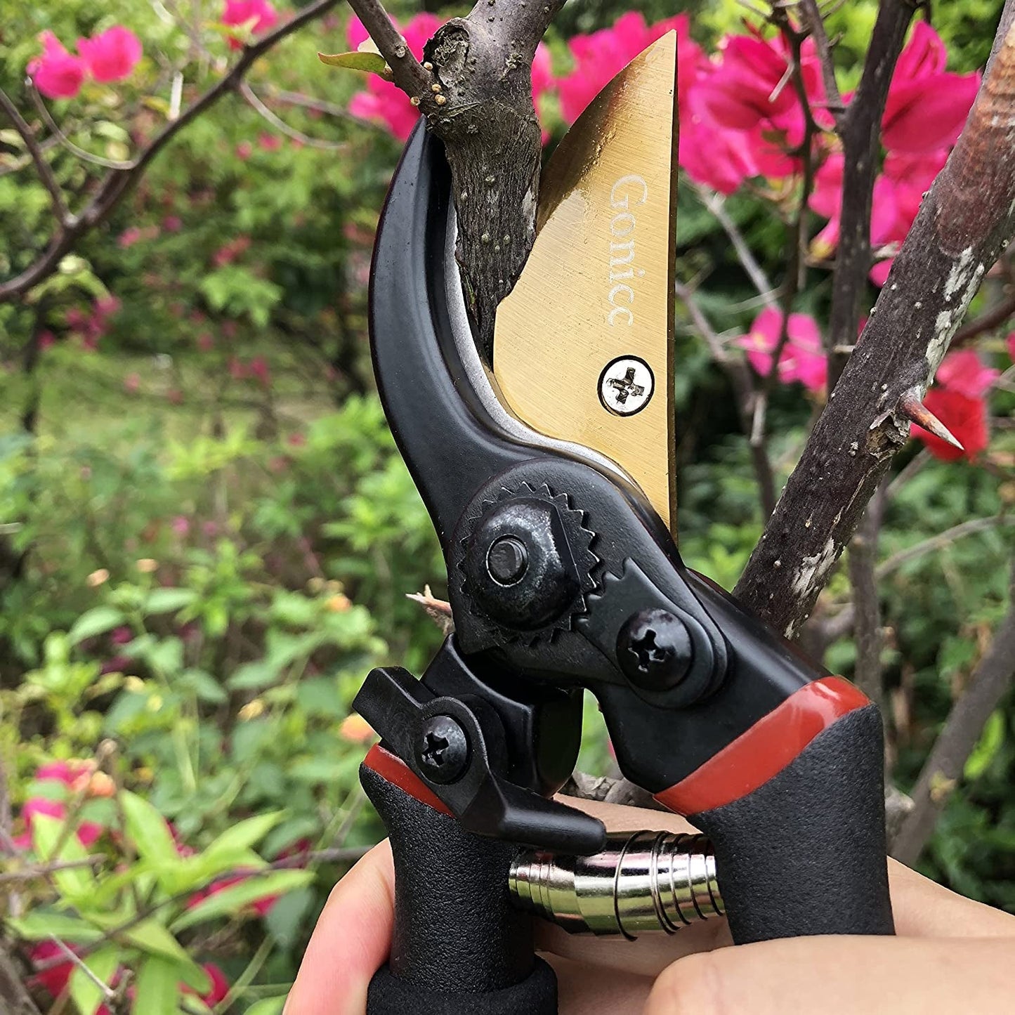 8" Professional Secateurs Premium Titanium Bypass Pruning Shears (GPPS-1003), Hand Pruners, Garden Clip, Hedge Shears(Gold)