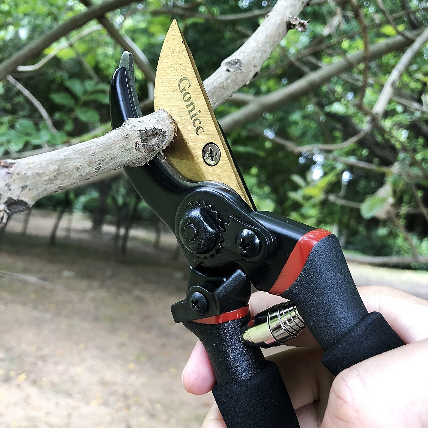 8" Professional Secateurs Premium Titanium Bypass Pruning Shears (GPPS-1003), Hand Pruners, Garden Clip, Hedge Shears(Gold)