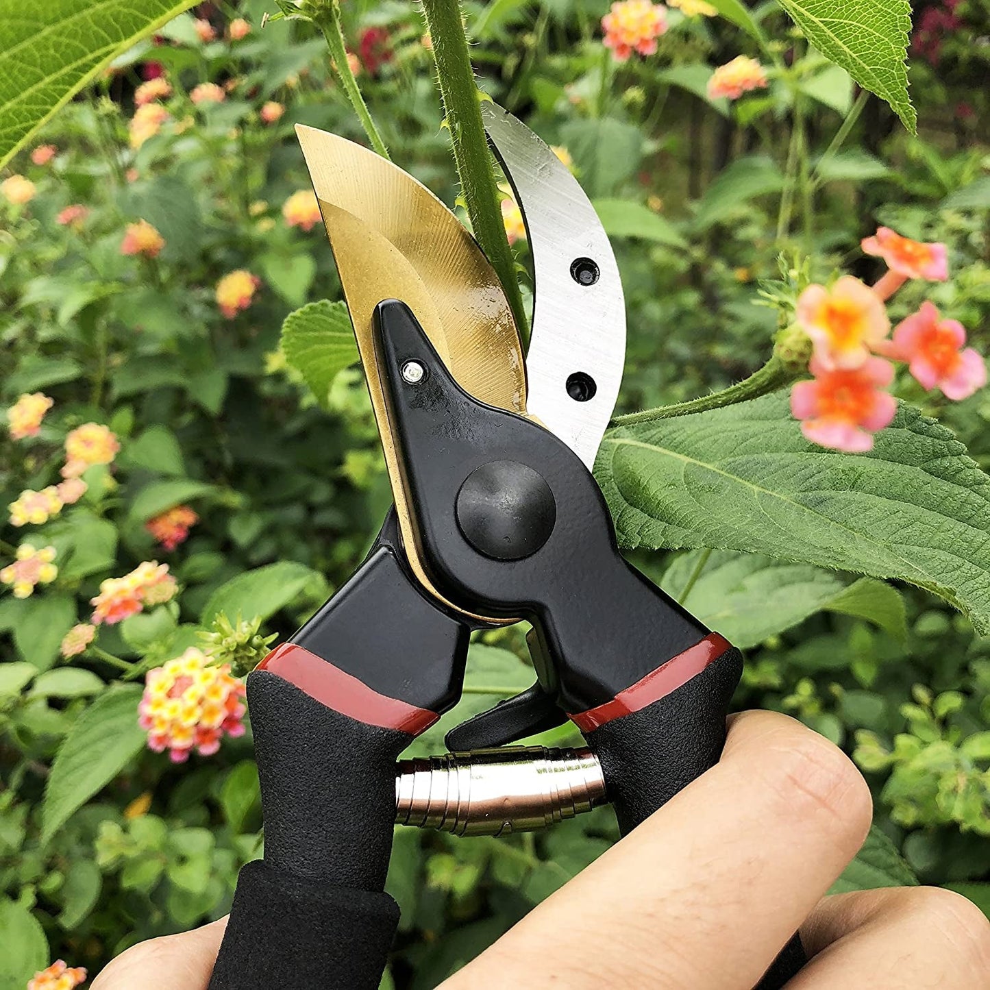 8" Professional Secateurs Premium Titanium Bypass Pruning Shears (GPPS-1003), Hand Pruners, Garden Clip, Hedge Shears(Gold)